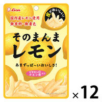 ドライフルール 食べきりサイズ そのまんまレモン 1セット（1個×12）