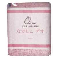 浅野撚糸 なでしこデオ ミニタオル 1060-049 1個（直送品）
