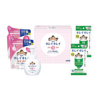 ライオン キレイキレイ薬用泡ハンドソープセット LBB-D 1個（直送品）