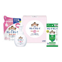 ライオン キレイキレイ薬用泡ハンドソープセット LBB-C 1個（直送品）