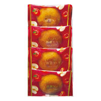 中島大祥堂 果実たっぷり ふじ林檎ケーキ RCB-5 1個（直送品）