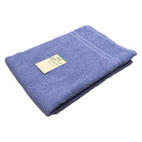 大判バスタオル ウォークボーダー ブルー（青） LP507601 1枚 大判 タオルケット 無地 林