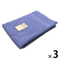 大判バスタオル ウォークボーダー ブルー（青） LP507601 1セット（1枚×3） 大判 タオルケット 無地 林