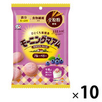クッキー 食べきりサイズ モーニングマアム　ブルーベリー　50g 1セット(1個×10)