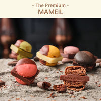 マメイル 生チョコマカロン | The Premium 選べるブランドカタログ A（ギフトカードタイプ）　二重封筒／熨斗（御中元）（直送品）