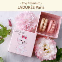 ラデュレ | The Premium 選べるブランドカタログ B （ギフトカードタイプ）　二重封筒／熨斗（御歳暮）（直送品）