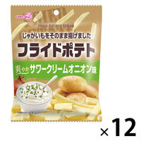 ポテトスティック 食べきりサイズ フライドポテト サワークリームオニオン味 1セット（1個×12）