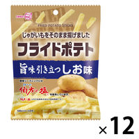 ポテトスティック 食べきりサイズ フライドポテト  しお味 1セット（1個×12）