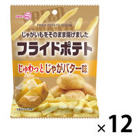 ポテトスティック 食べきりサイズ フライドポテト　じゃがバター味 1セット（1個×12）