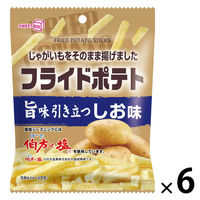 ポテトスティック 食べきりサイズ フライドポテト  しお味 1セット（1個×6）