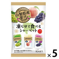シャーベット チューペット 棒アイス 個包装 暑さ対策 山梨県産果汁凍らせて食べるシャーベット 1セット（1個×5）