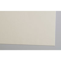 アーテック Mu ワトソンロール 190g 厚口 ナチュラル 135160 1セット（直送品）