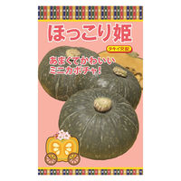 日本農産種苗 ほっこり姫 4960599190109 1セット(3袋入)（直送品）