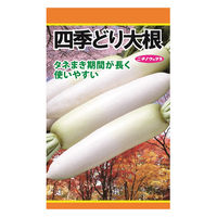 日本農産種苗 四季どり大根 4960599190307 1セット(5袋入)（直送品）