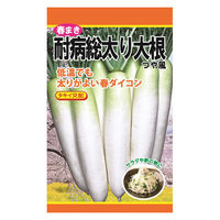 日本農産種苗 春まき耐病総太り大根(つや風) 4960599191700 1セット(3袋入)（直送品）