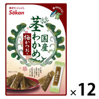 塩分チャージ 梅 食べきりサイズ 国産茎わかめ 梅かつお味　26g 1セット(1個×12)