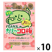 塩分チャージ 梅 食べきりサイズ そうかんのカリっコロ梅　22g 1セット(1個×10)