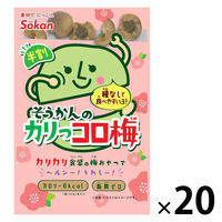 塩分チャージ 梅 食べきりサイズ そうかんのカリっコロ梅　22g 1セット(1個×20)