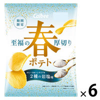 ポテトチップス 食べきりサイズ 春ポテト 2種の岩塩味 60g 1セット（1個×6）