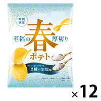ポテトチップス 食べきりサイズ 春ポテト 2種の岩塩味 60g 1セット（1個×12）