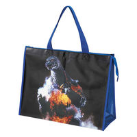 スケーター レジャーバッグ レジャーシート生地バッグL ゴジラ 1995年 2004年 1995 482983 1個（直送品）