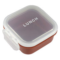 イエロースタジオ 弁当箱 time for LUNCH マルチケース 保存容器 レッド 491064 1個（直送品）