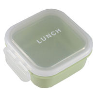 イエロースタジオ 弁当箱 time for LUNCH マルチケース 保存容器 ライトグリーン 491066 1個（直送品）