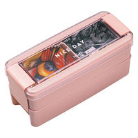 岩崎工業 お弁当箱 イージーケアランチボックス2段 680ml ピンク 492710 1個（直送品）