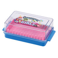 スケーター 保存容器 定量 カッティング バターケース パワーパフガールズ 494973 1個（直送品）