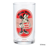 サンアート グラス 250ml フリーグラス ミッキーマウス1 D 496532 1個（直送品）