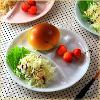 ネクスト ランチプレート エクストラライト 丸 小 白 499186 1個（直送品）