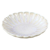 ネクスト 皿 菊花和膳 小皿 9.5cm 白うのふ 499213 1個（直送品）