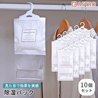 アストロ 除湿パック Moisture Absorber 10Set 730-74 1セット(10個)（直送品）