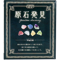 ノルコーポレーション 遊んで学べる科学おもちゃ 宝物発見シリーズ 原石発見 1セット TKZ-38-01 1箱（直送品）