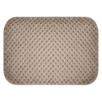 大河商事 エネタンポ 電気式湯たんぽ 充電式 コードレス あったかグッズ チャコール enetanpoET-12_CH 1個（直送品）