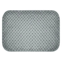 大河商事 エネタンポ 電気式湯たんぽ 充電式 コードレス あったかグッズ グレー enetanpoET-12_GY 1個（直送品）