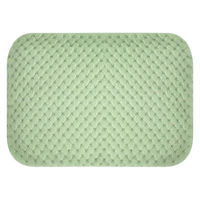 大河商事 エネタンポ 電気式湯たんぽ 充電式 コードレス あったかグッズ ミント enetanpoET-12_MT 1個（直送品）