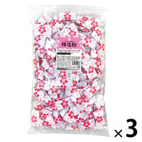 暑さ対策 塩分チャージ 1kg 梅 塩飴 1セット（1個×3）