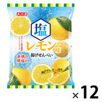 暑さ対策 塩分チャージ 塩レモン味 揚げせんべい 52g 1セット（1個×12）