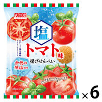 暑さ対策 塩分チャージ 塩トマト味 揚げせんべい　52g 1セット（1個×6）