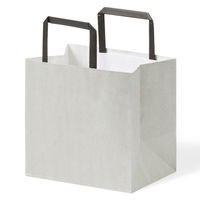 【紙手さげ袋】FLAT　エコアッシュ 220-1　アスクル限定カラーハンドル　1袋(25枚入) オリジナル