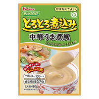 ハウスギャバン やさしくラクケア とろとろ煮込みのレトルト/個/中華うま煮風 520021_3434_22921 1個（直送品）