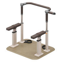 パナソニック エイジフリー スムーディ(Pトイレ用)両昇降手すり片側アーム/-/- XPN-L80848 1台（直送品）