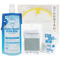 エピオス 暑さ対策4点セット(1セット80個入) 7837 1セット(80個入)（直送品）