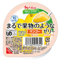 ハウスギャバン やさしくラクケア まるで果物のようなゼリー/個/マンゴー 86879 1個（直送品）