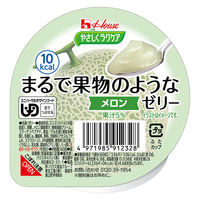 ハウスギャバン やさしくラクケア まるで果物のようなゼリー/個/メロン 86877 1個（直送品）