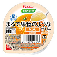 ハウスギャバン やさしくラクケア まるで果物のようなゼリー/個/みかん 85395 1個（直送品）