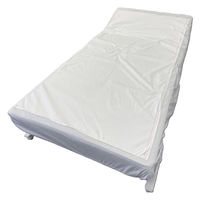 ワノケア 剥ガッシュ/組/- WCR-HAG1 1組(3枚入)（直送品）