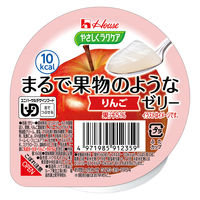 ハウスギャバン やさしくラクケア まるで果物のようなゼリー/個/りんご 86880 1個（直送品）