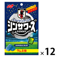 グミ 食べきりサイズ シンサワーズグミ　ラムネ味 50g 1セット(1個×12)
